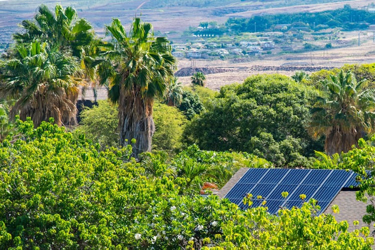 pv anlage kaufen die 10 besten wertanlagen dachfläche vermieten pv anlage steuerlich absetzen wertanlagen sonderabschreibung pv anlage dachfläche vermieten solar solaranlage steuerlich absetzen solarpark investieren photovoltaik dach vermietung photovoltaik dachvermietung photovoltaik investment photovoltaik investitionen investieren solarenergie abfindung steuererklärung wo eintragen dachfläche vermieten photovoltaik preise photovoltaik direktinvestment dachfläche verpachten dachfläche vermieten photovoltaik solarfläche vermieten solaranlage verkaufen dachfläche für photovoltaik vermieten dachfläche vermieten preise vermietung dachfläche für photovoltaik fläche verpachten für photovoltaik photovoltaik auf wiese photovoltaik dachfläche vermieten photovoltaik fläche vermieten grundstück verpachten solar dachfläche für solaranlage vermieten acker für photovoltaik verpachten kaufvertrag photovoltaikanlage