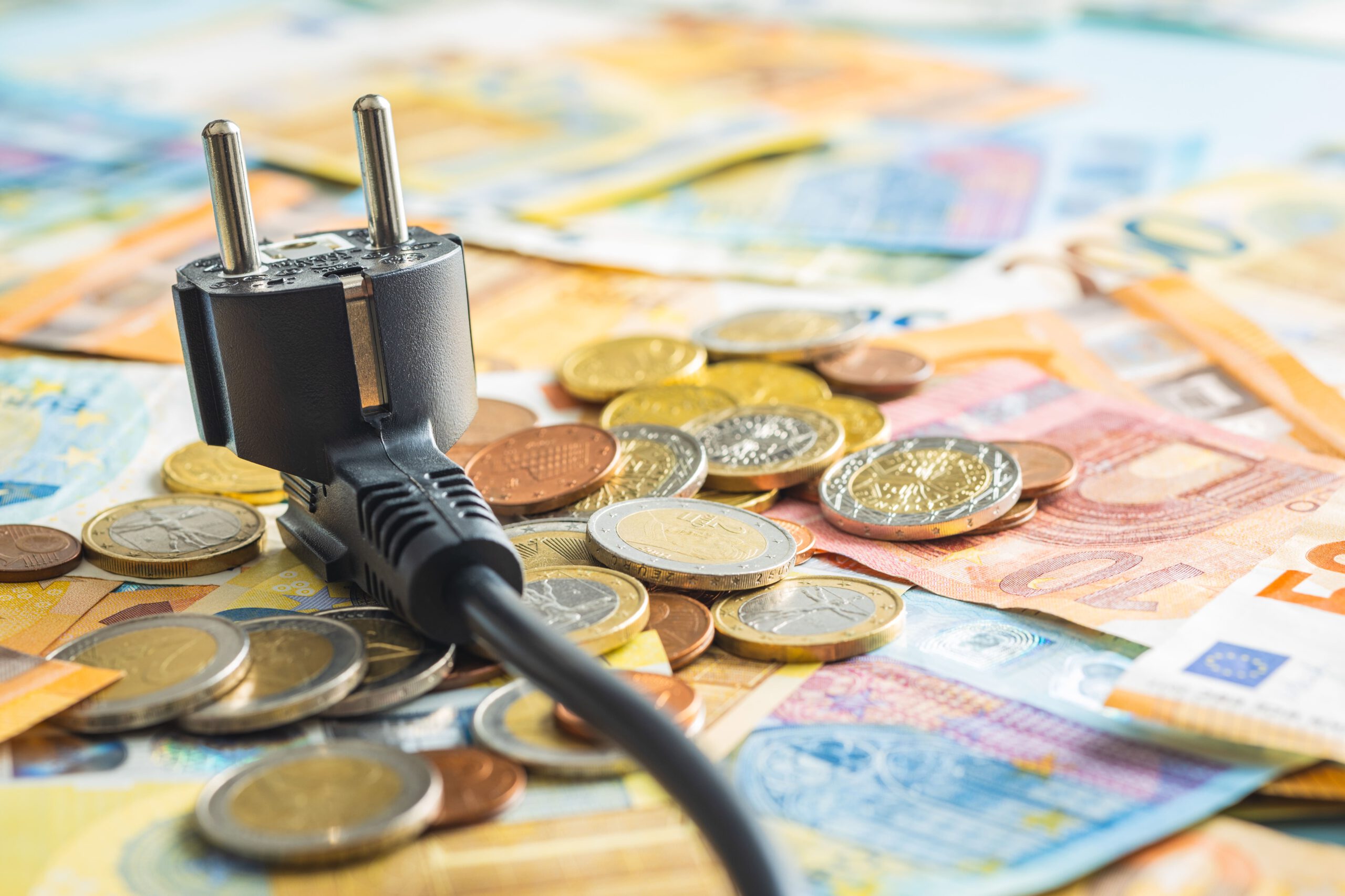 Referenz Dachfläche 1