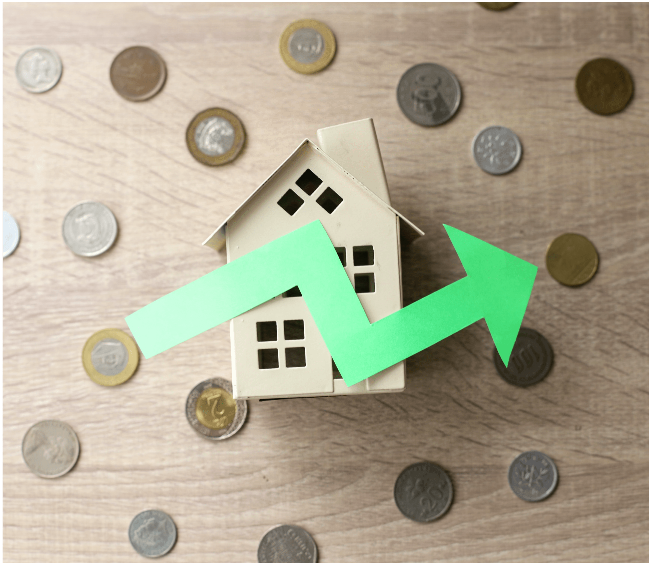 Referenz Dachfläche 1