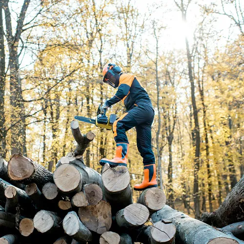 Vom Landwirt zum Energiewender